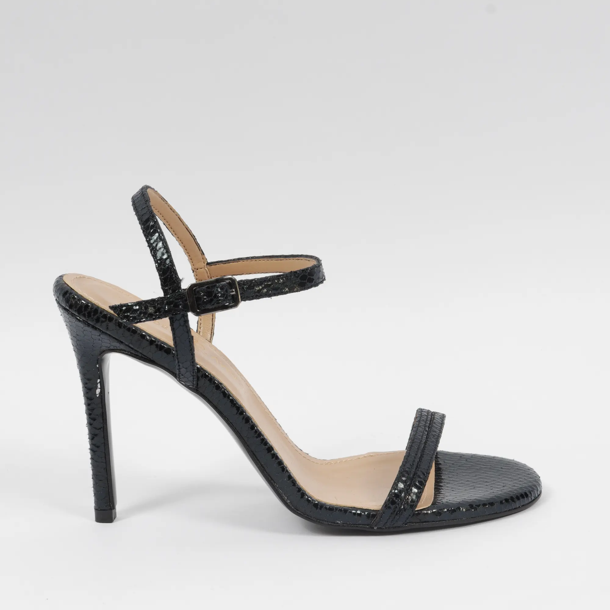 Snake-Black
