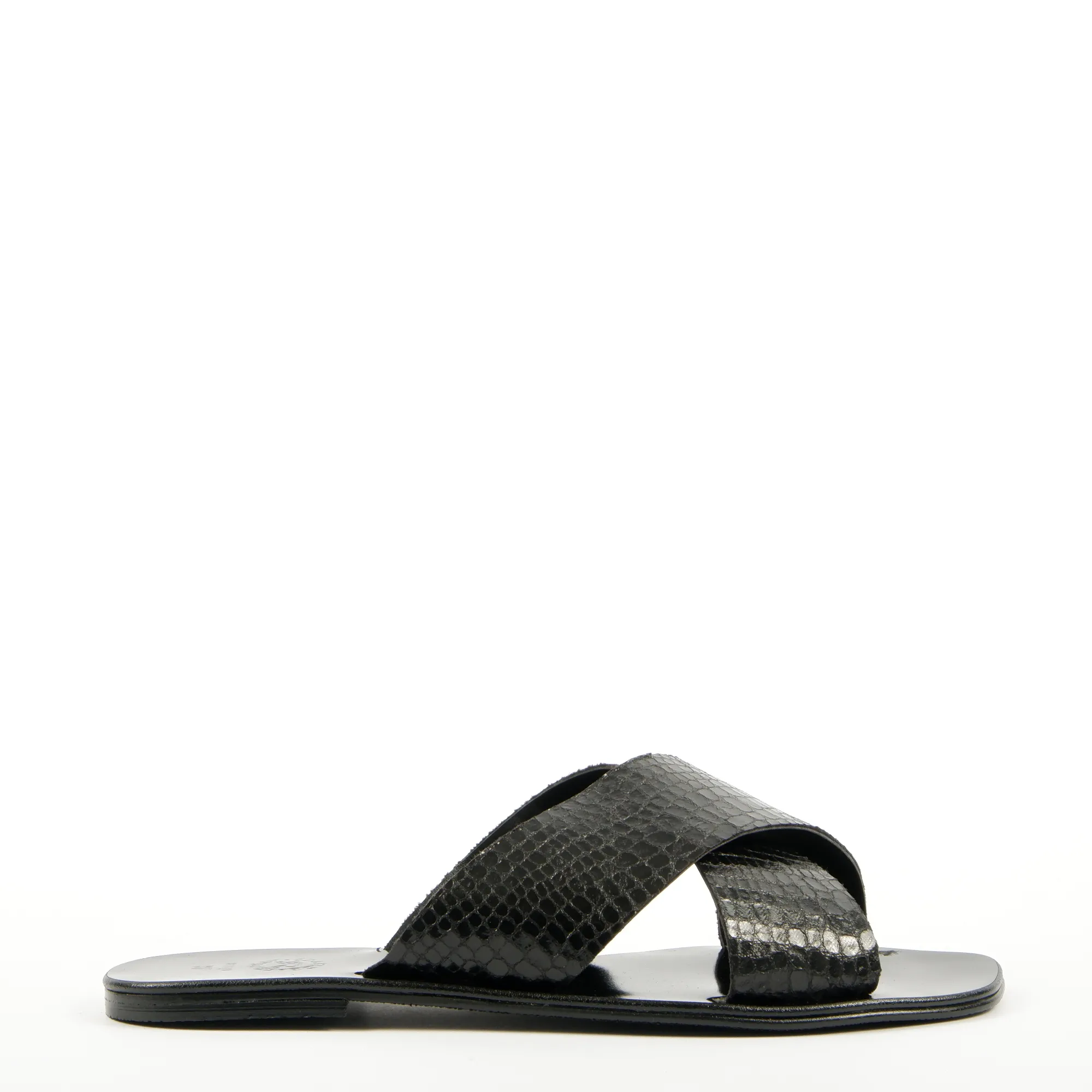 Lizard-Black