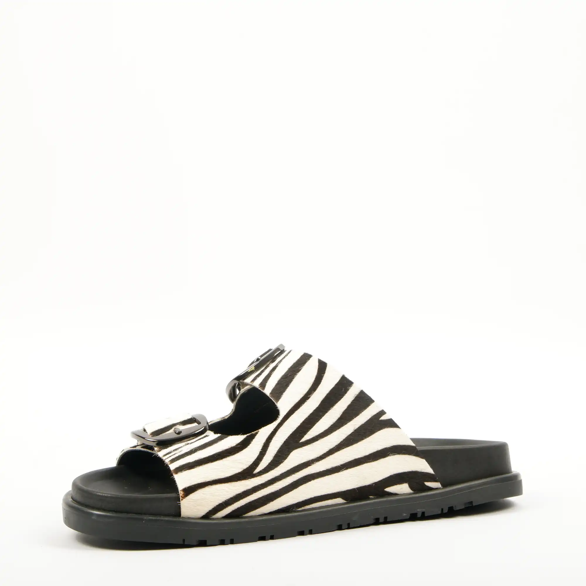 ramona zebra (4)
