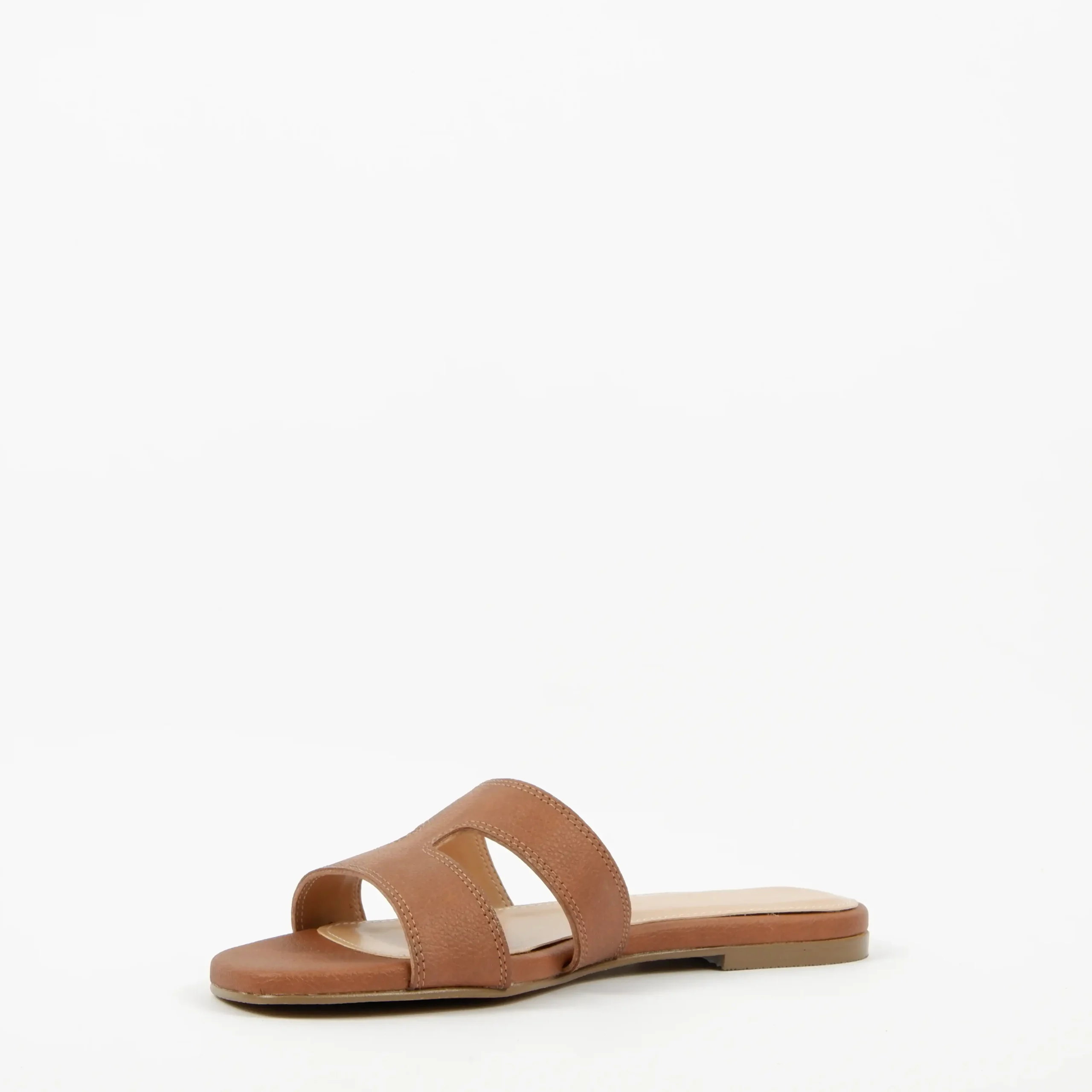 tullia camel (4)