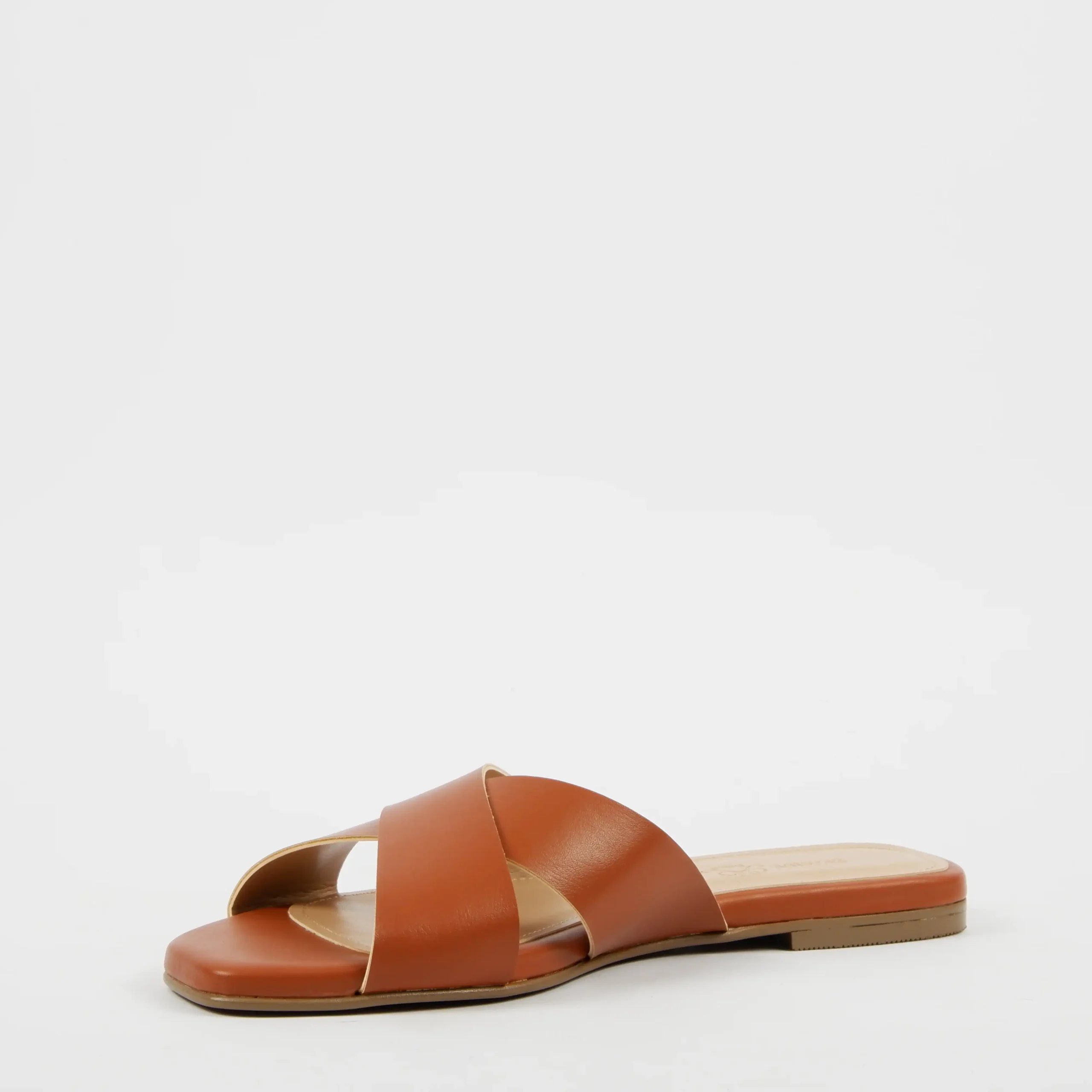 CALVETTA CAMEL (4)