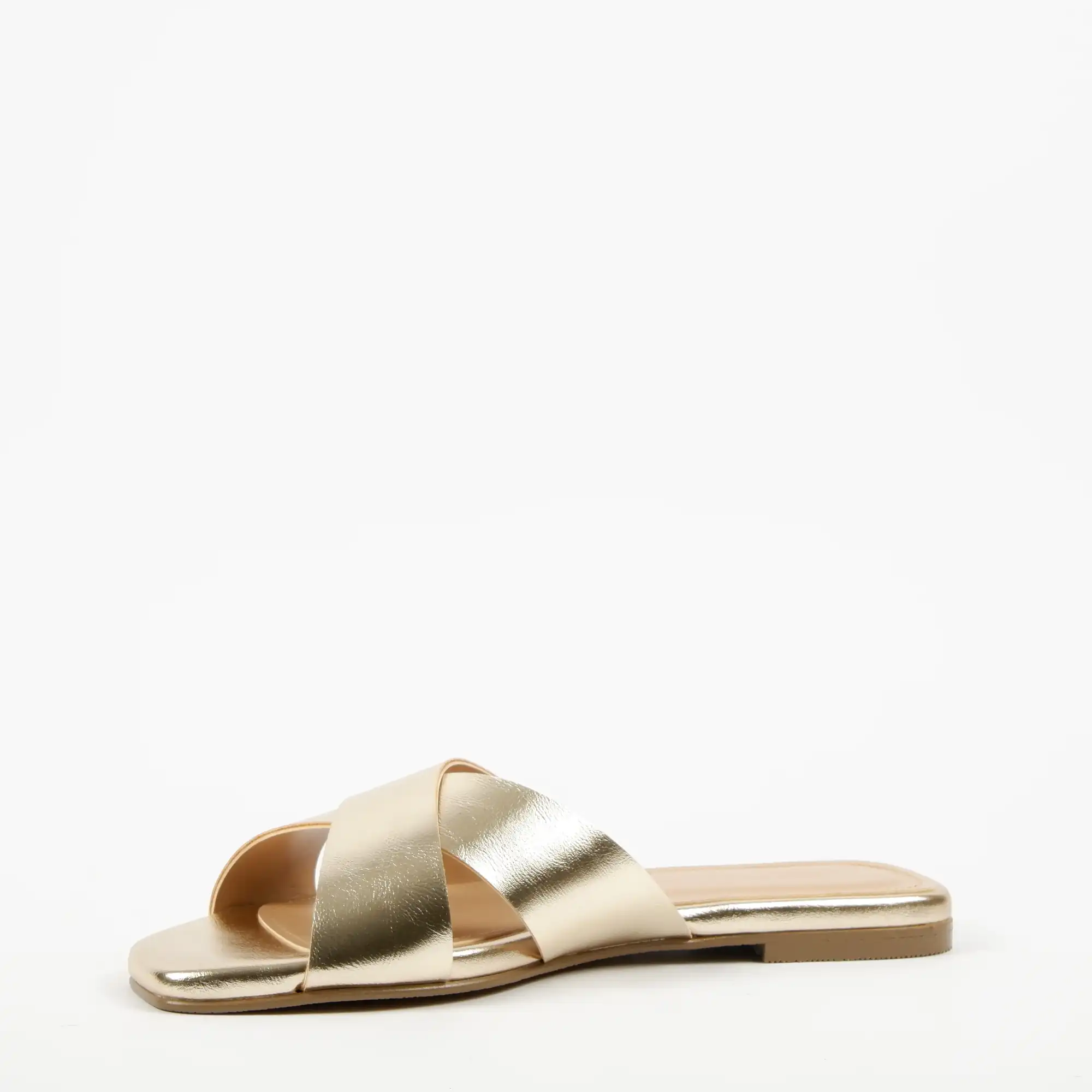 CALVETTA GOLD (4)