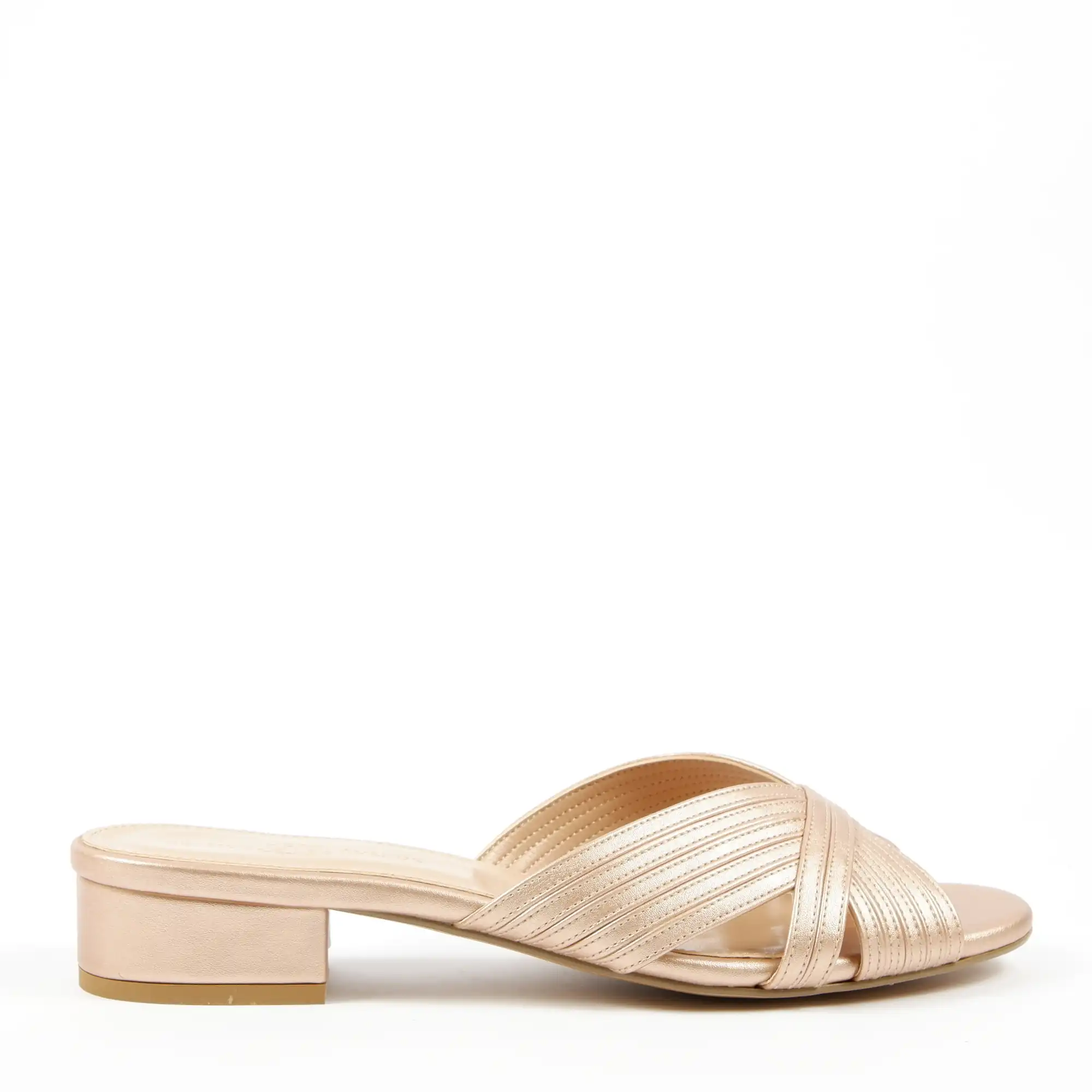 canalia champ (2)