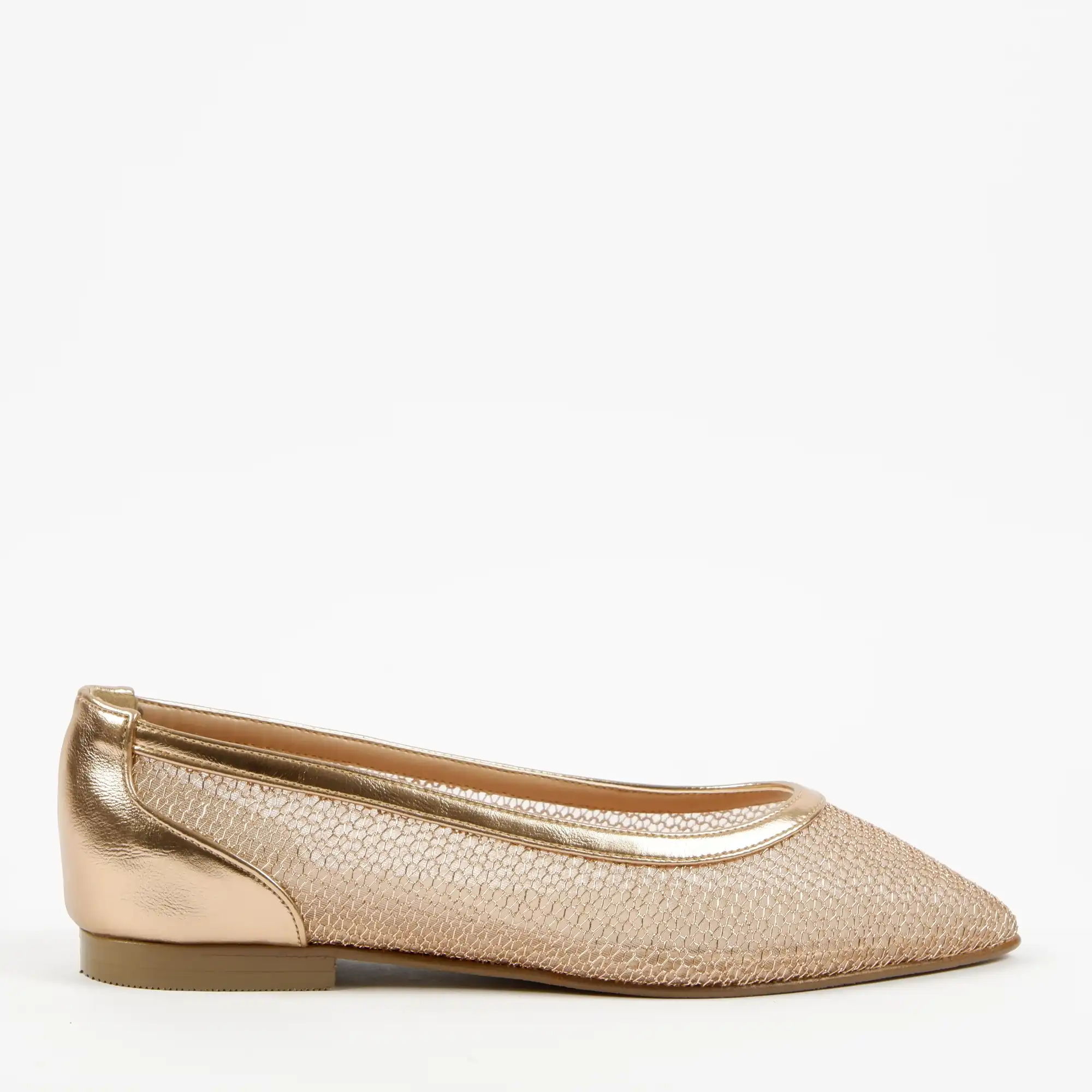 solea champ (2)
