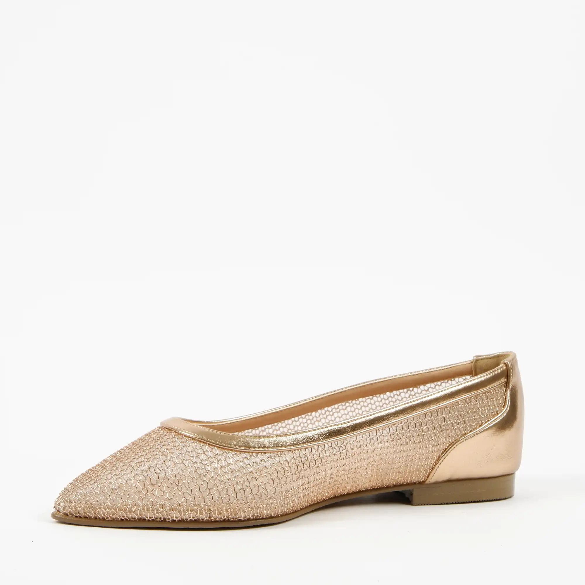 solea champ (4)