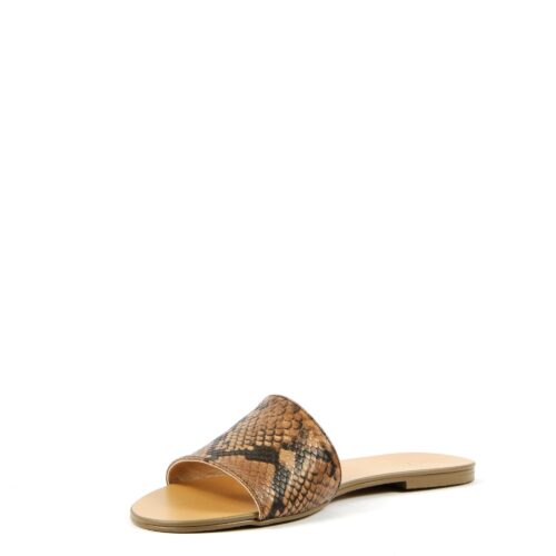 maravina snake camel (3)