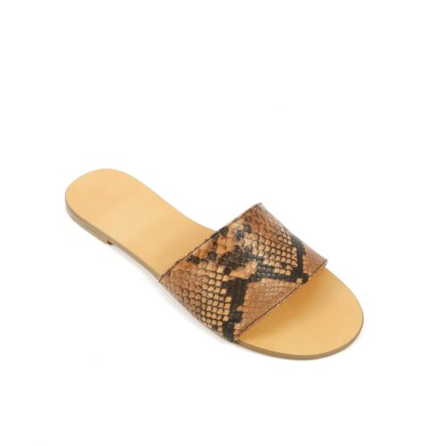 maravina snake camel (4)