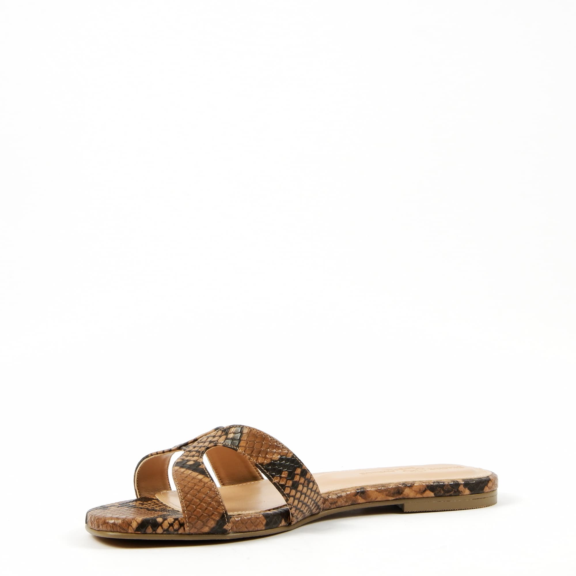 zoreya snk camel (3)