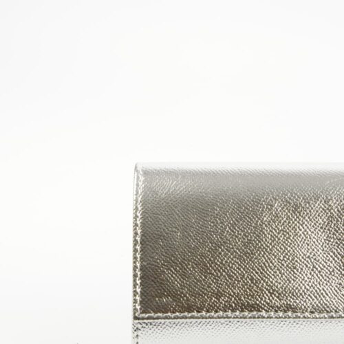 FIANNA SILVER (3)