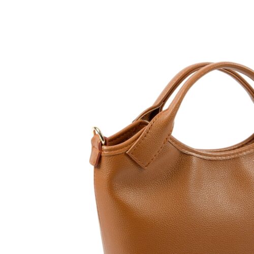 celandra camel (3)