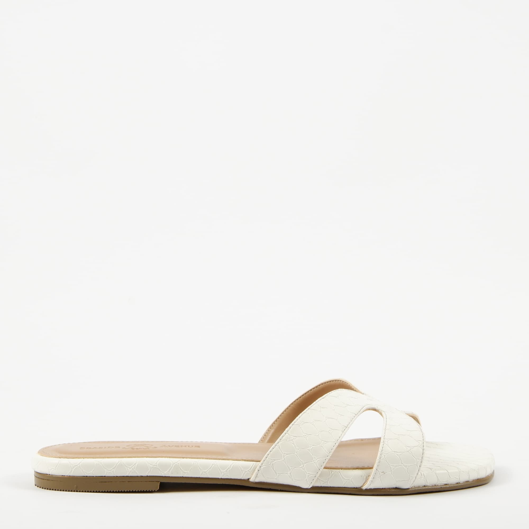 Lizard-White