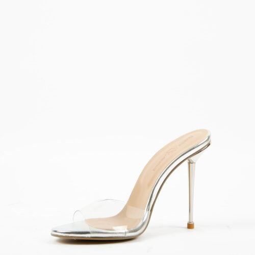 celina transp silver (3)