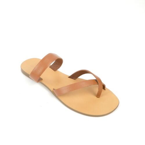 darena camel (4)