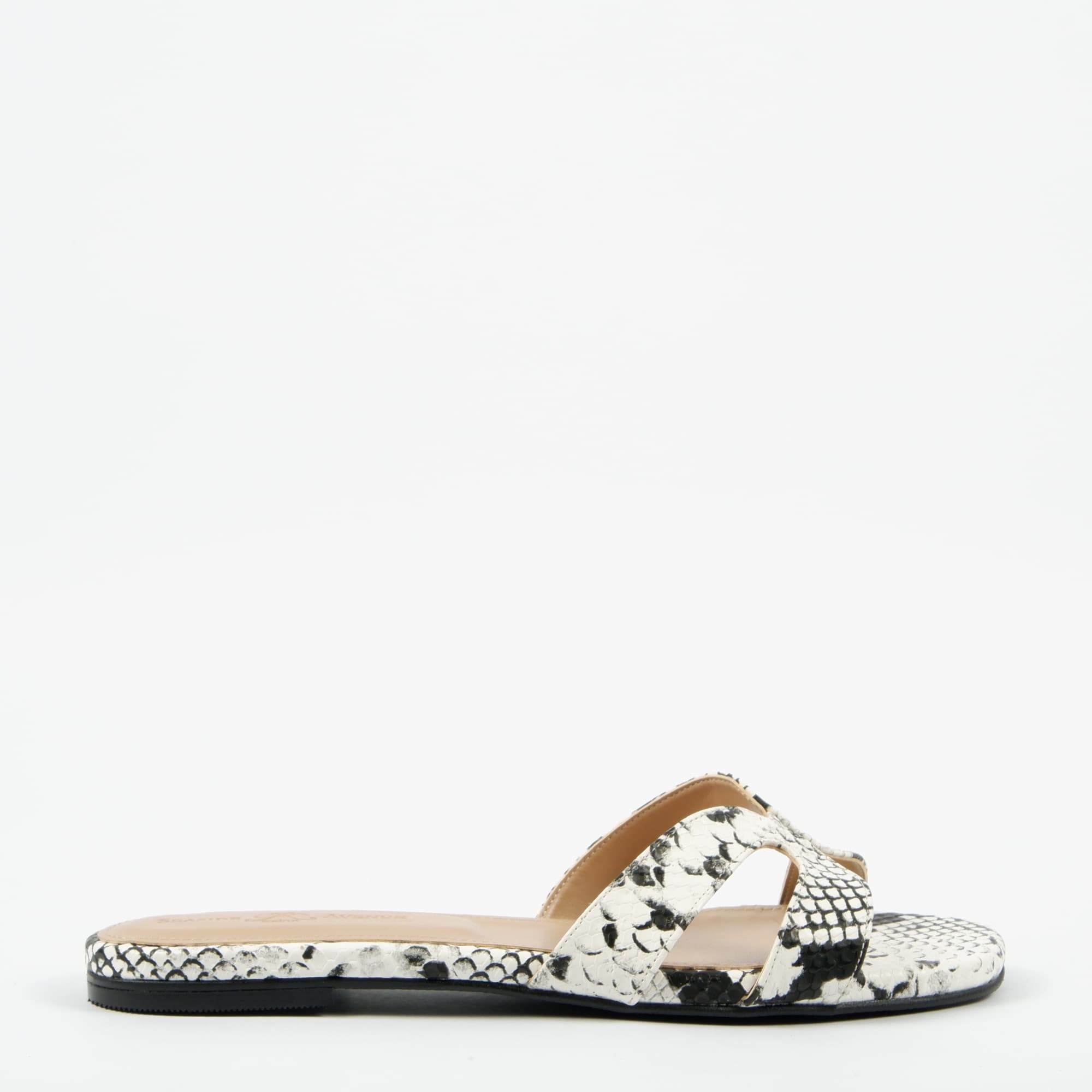Snake-Black-White