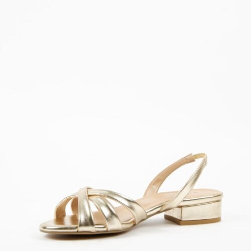 SPENCER GOLD (3)