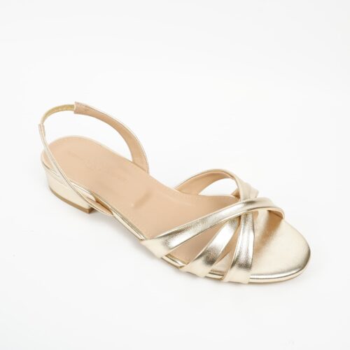 SPENCER GOLD (4)