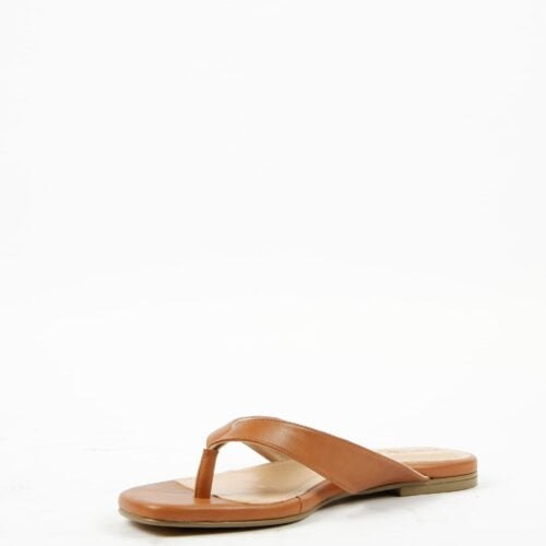 peregrina camel (3)