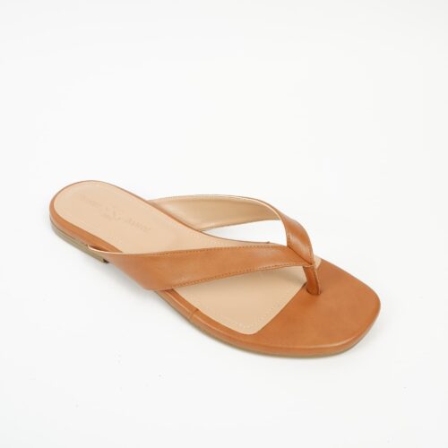 peregrina camel (4)