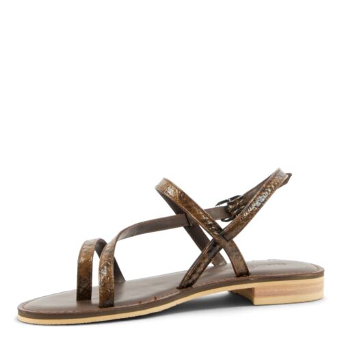 ravora snake brown (3)