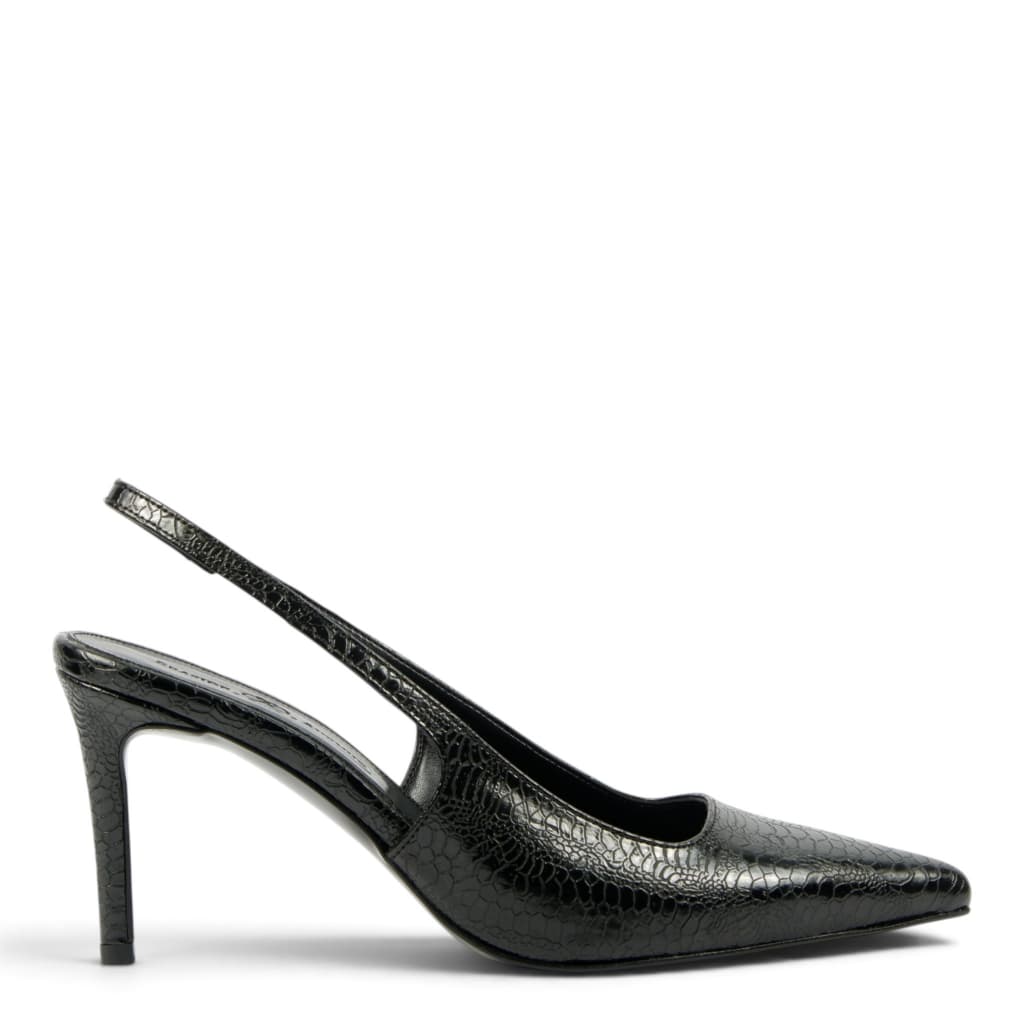 Lizard-Black