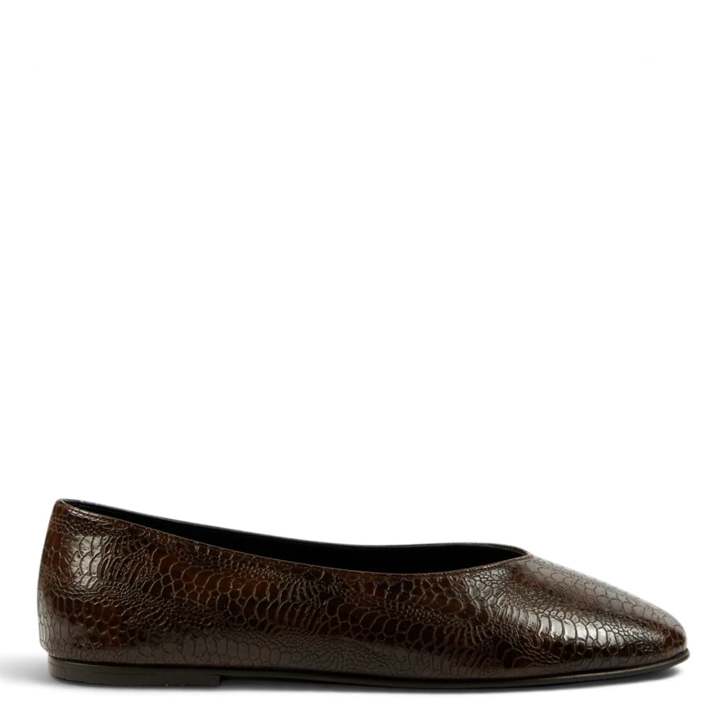 Lizard-Brown