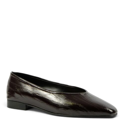 eletra brown eel (2)
