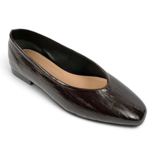 eletra brown eel (4)