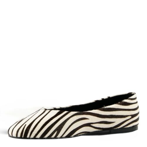 vicenza zebra (3)