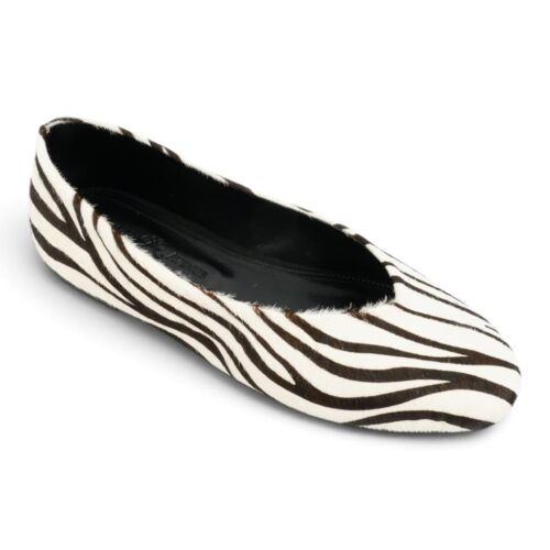 vicenza zebra (4)